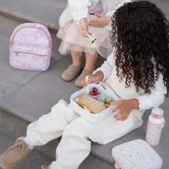 Little Dutch Lunch|Eten^Bento Lunchbox groot Fairy Wonders