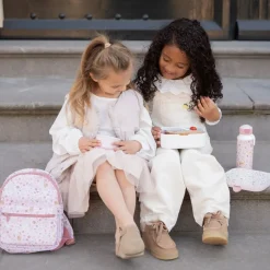 Little Dutch Lunch|Eten^Bento Lunchbox groot Fairy Wonders