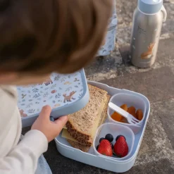 Little Dutch Lunch|Eten^Bento Lunchbox groot Forest Friends