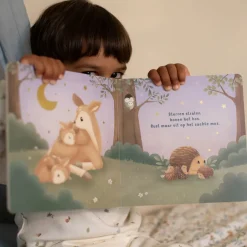 Little Dutch Boeken^Boekje Welterusten Kleintje - NL