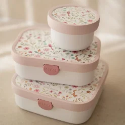 Little Dutch Lunch^Fruitbox 300 ml Fairy Wonders