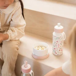 Little Dutch Lunch^Fruitbox 300 ml Fairy Wonders