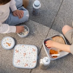 Little Dutch Lunch^Fruitbox 300 ml Forest Friends