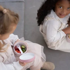 Little Dutch Lunch^Fruitbox Campus 300 ml Fairy Garden