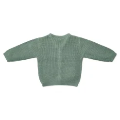 Little Dutch Jongens Kleding|Kinderkleding^Gebreid vest - Groen - Forest Friends