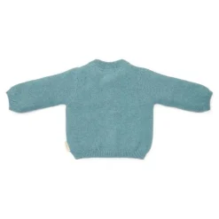 Little Dutch Jongens Kleding|Babykleding^Gebreid vestje - Blauw - Forest Friends