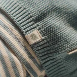 Little Dutch Jongens Kleding|Babykleding^Gebreid vestje - Blauw - Forest Friends