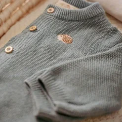 Little Dutch Jongens Kleding|Babykleding^Gebreid vestje - Blauw - Forest Friends