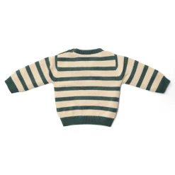 Little Dutch Jongens Kleding|Kinderkleding^Gebreide trui - Groen - Forest Friends - Stripe