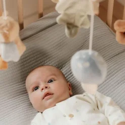 Little Dutch Muziekmobielen|Decoratie^Houten Muziekmobiel - Blauw - Forest Friends