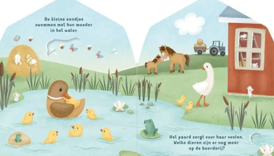 Little Dutch Boeken^Mijn doorkijkboek - Boerderij - NL