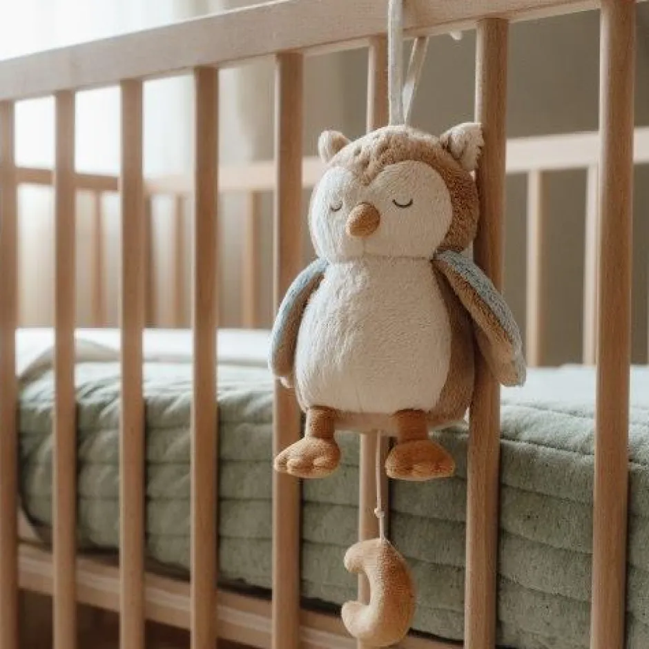 Little Dutch Muziekmobielen|Muziekdoosjes^Muziekdoosje - Uil - Forest Friends