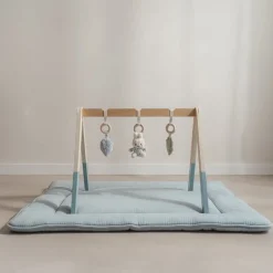 Little Dutch Educatief Speelgoed|Babygyms^nijntje babygym - Blauw - Lucky Leaves