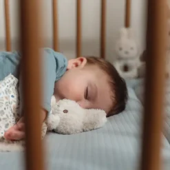 Little Dutch Educatief Speelgoed^nijntje geschenkdoos - Blauw - Lucky Leaves