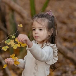 Little Dutch Accessoires|Meisjes Kleding^2-pack Scrunchies - Meerkleurig - Maat one size - Fairy Garden