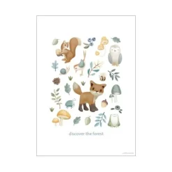Little Dutch Decoratie^Poster - Maat A3 - Forest Friends - Forest Wonders