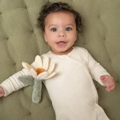 Little Dutch Rammelaar^Rammelaar bloem Little Farm