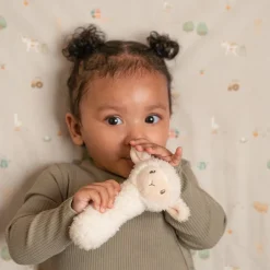 Little Dutch Rammelaar^Rammelaar schaap Little Farm