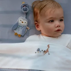 Little Dutch Speendoekjes^Speendoekje - Blauw - Forest Friends