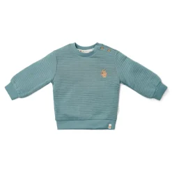 Little Dutch Jongens Kleding|Kinderkleding^Sweater - Blauw - Forest Friends