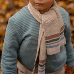 Little Dutch Jongens Kleding|Kinderkleding^Sweater - Blauw - Forest Friends