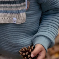 Little Dutch Jongens Kleding|Kinderkleding^Sweater - Blauw - Forest Friends